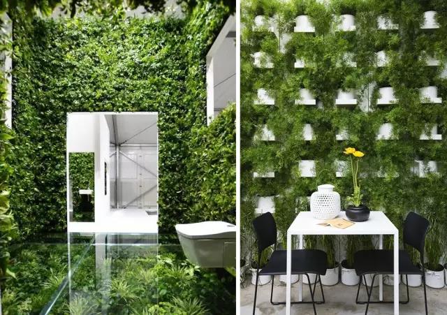 綠植長(zhǎng)在墻上，個(gè)性又省地方！